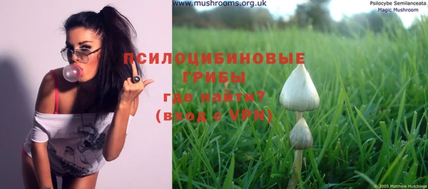 ГАЛЛЮЦИНОГЕННЫЕ ГРИБЫ Балабаново
