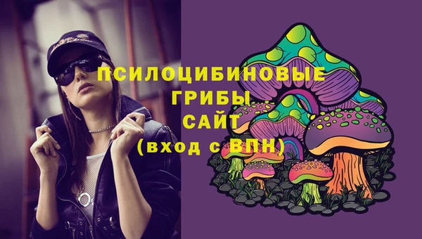 ГАЛЛЮЦИНОГЕННЫЕ ГРИБЫ Балабаново