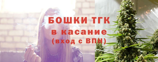 прущие крисы Вяземский