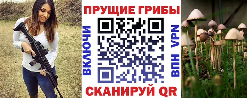 магазин Демидов Галлюциногенные грибы GOLDEN TEACHER